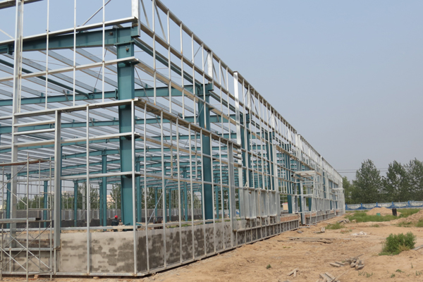 山東紳聯(lián)生物科技有限公司